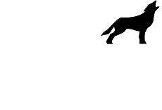 Kioti of Fort Worth proudly serves Fort Worth, TX and our neighbors in Dallas, Austin, Houston and Saginaw